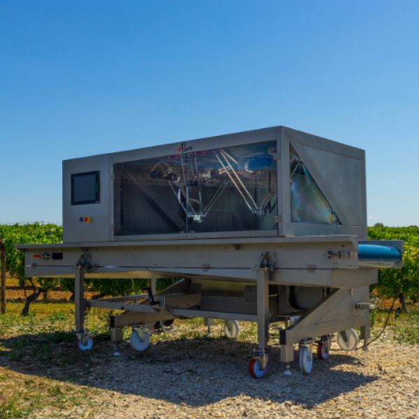 Machine pour trier les raisins